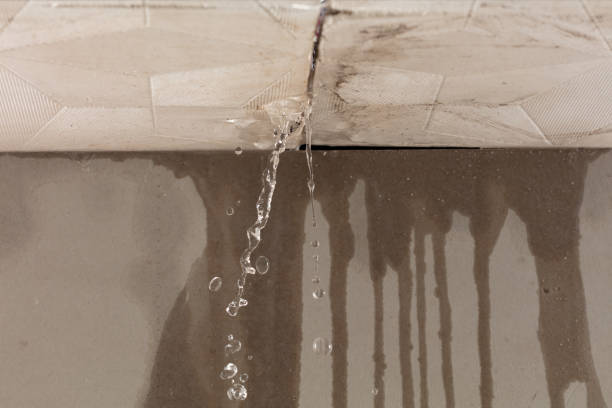 Professional Water Damage Repair technician working in Rye, TX